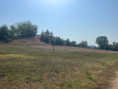 ASTI - TERRENO EDIFICABILE di  mq  4.500  -  ADATTO  PER  LA  COSTRUZIONE  DI  UNA  VILLA  INDIPENDENTE  - prezzo  trattabile  euro  30.000,00